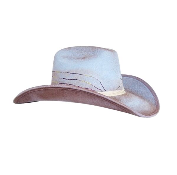 WILD WILD WEST - Image 3
