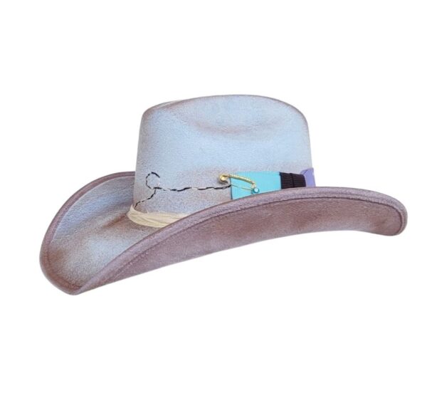 WILD WILD WEST